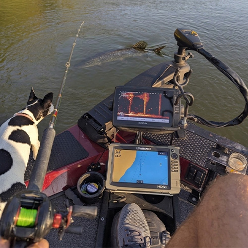 sondeur live pêche brochet
