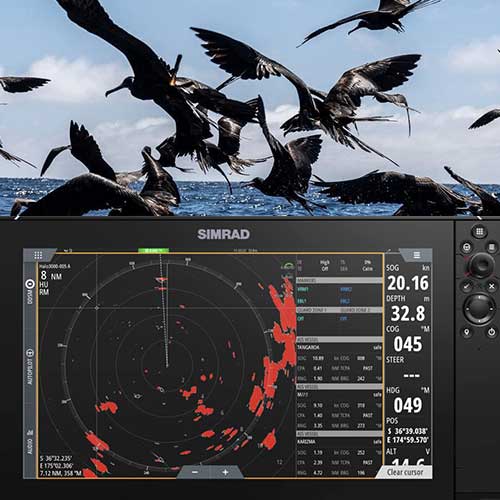 Mode oiseau du radar Simrad Halo