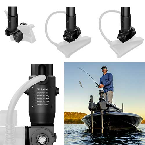 système de montage en pied d'arbre