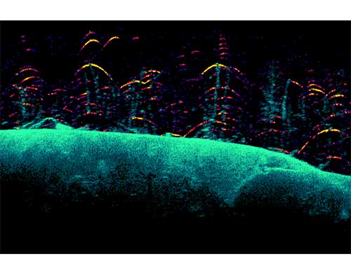 Technologie Lowrance DownScan Imaging