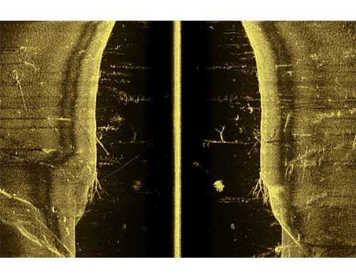 Technologie Lowrance SideScan Imaging